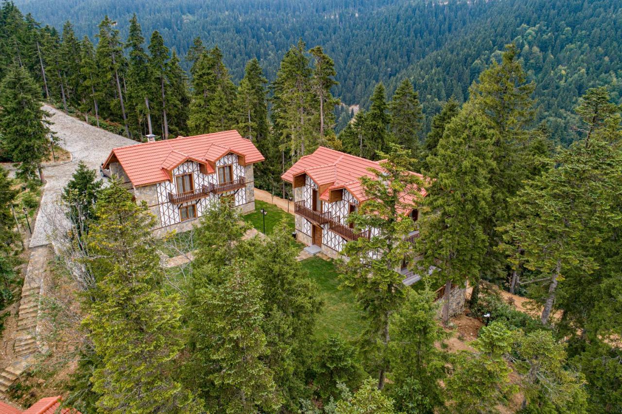 Foleya Mountain Resort Hotel & Villas Trabzon Luaran gambar