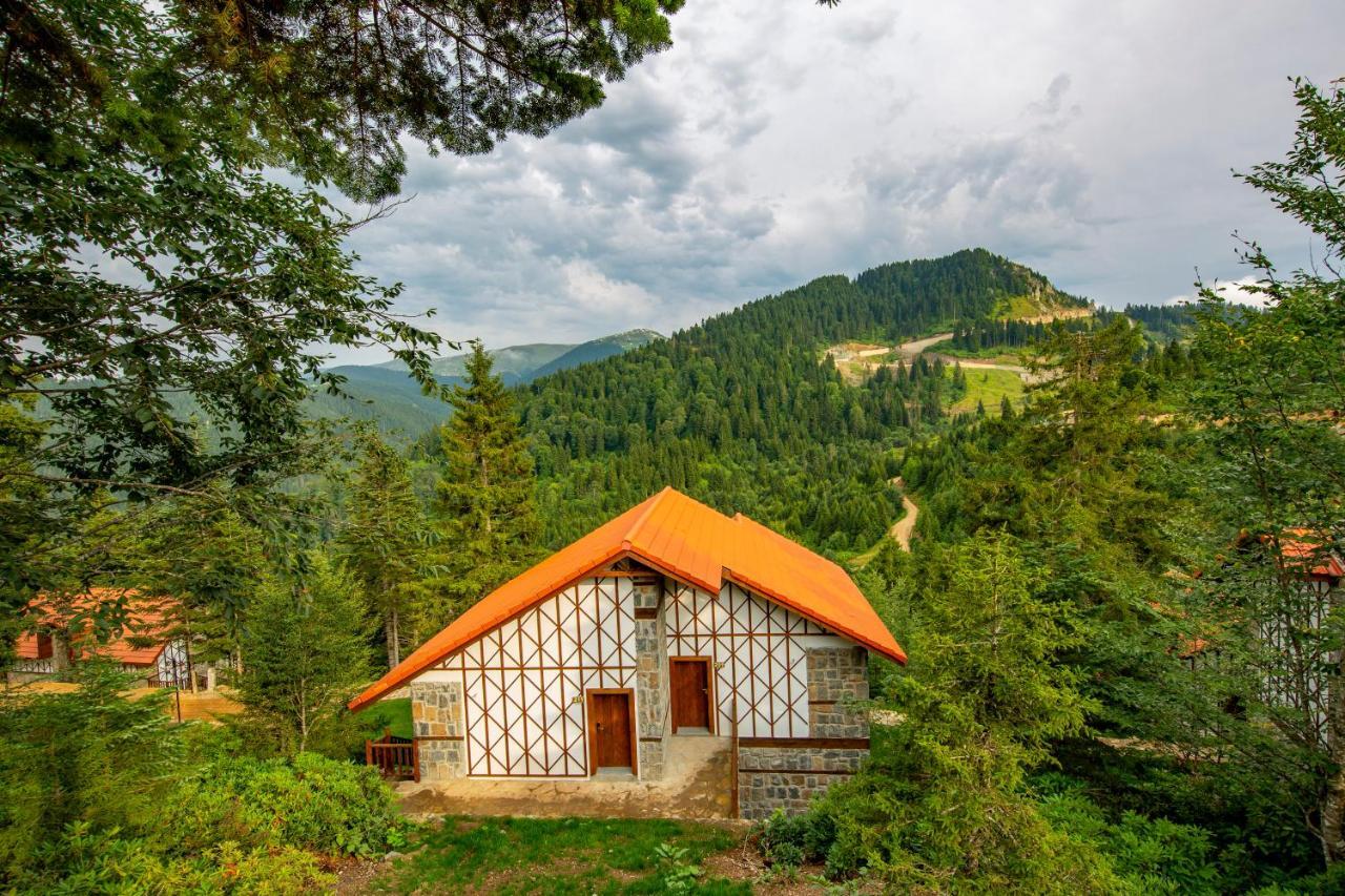 Foleya Mountain Resort Hotel & Villas Trabzon Luaran gambar